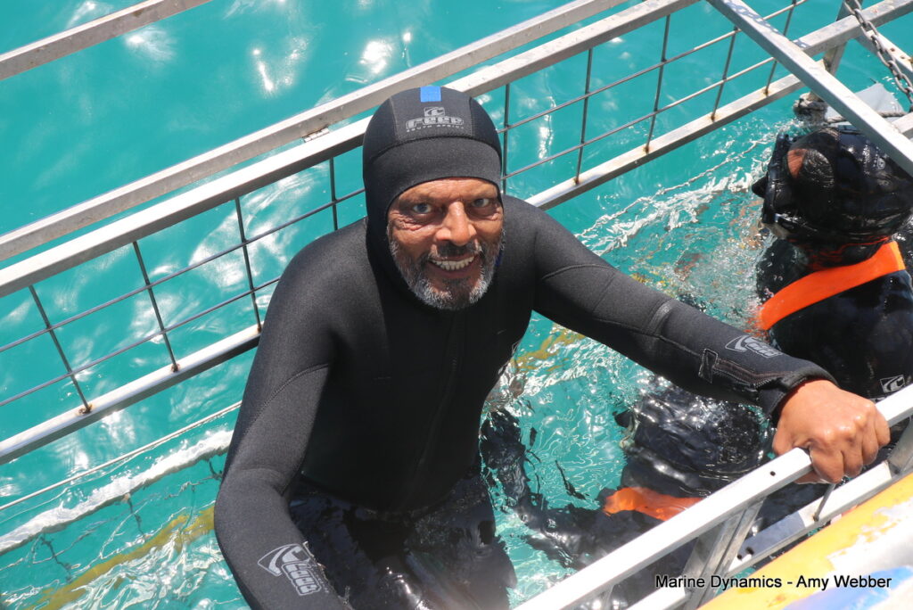 Shark cage diving, Gansbaai, South Africa