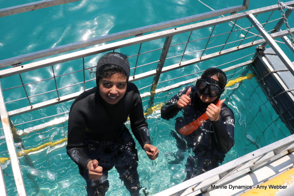 Shark cage diving, Gansbaai, South Africa