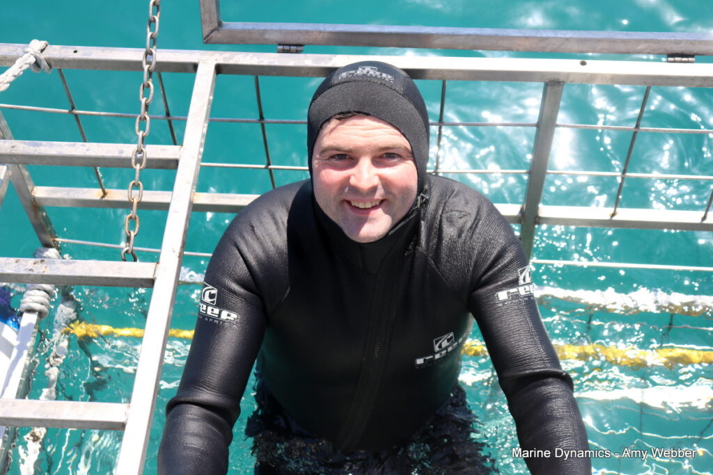 Shark cage diving, Gansbaai, South Africa