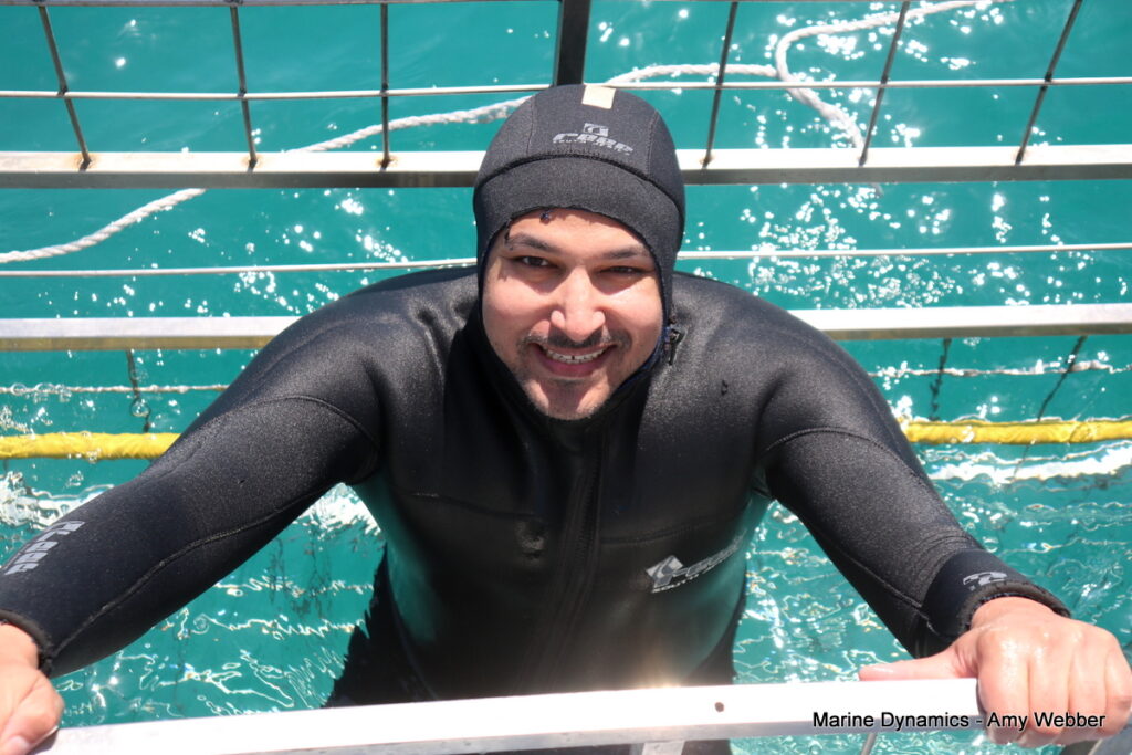 Shark cage diving, Gansbaai, South Africa