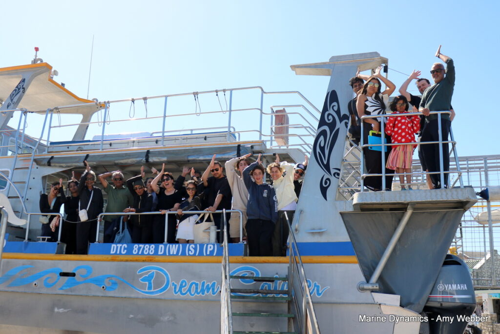 Shark cage diving, Gansbaai, South Africa