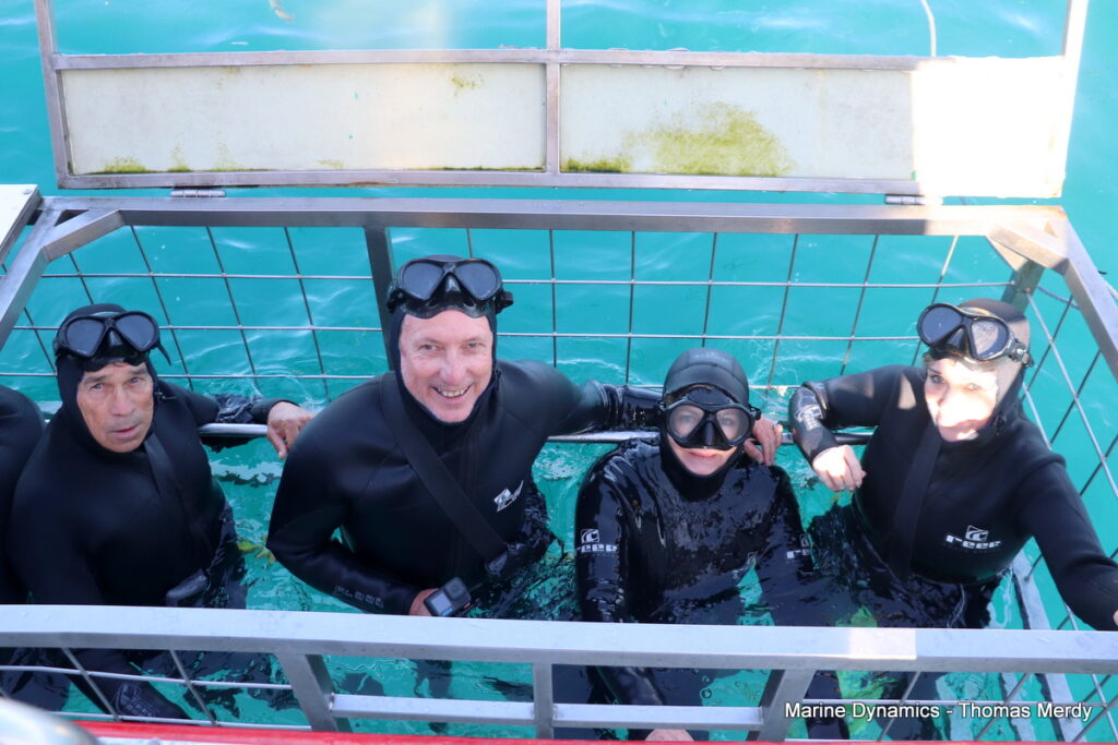 Shark cage diving, South Africa, gansbaai 