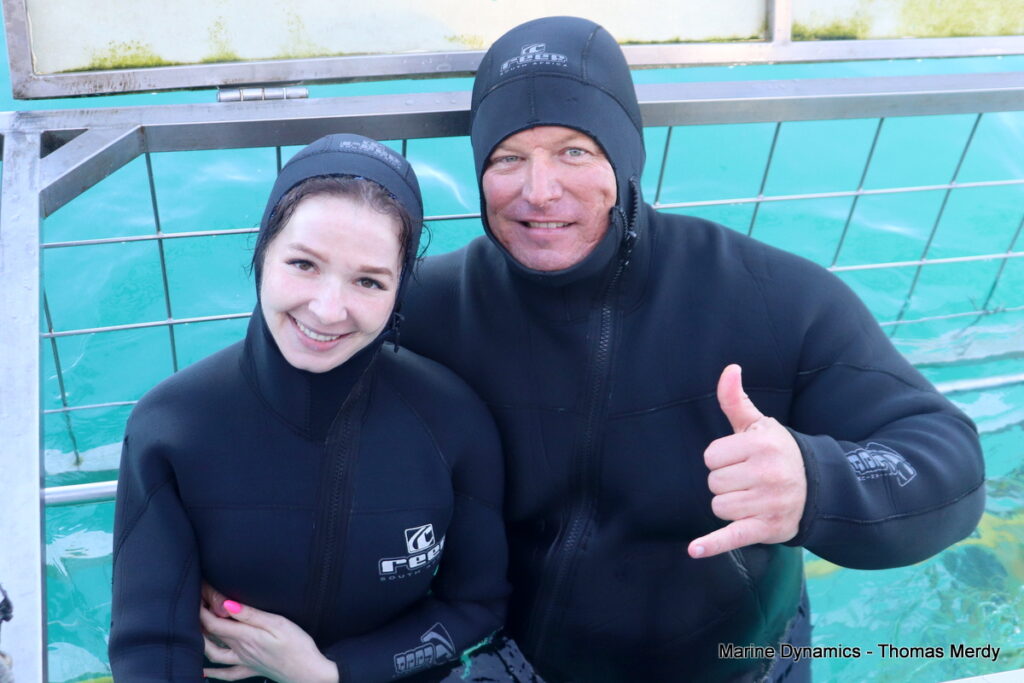 Shark cage diving, South Africa, gansbaai 