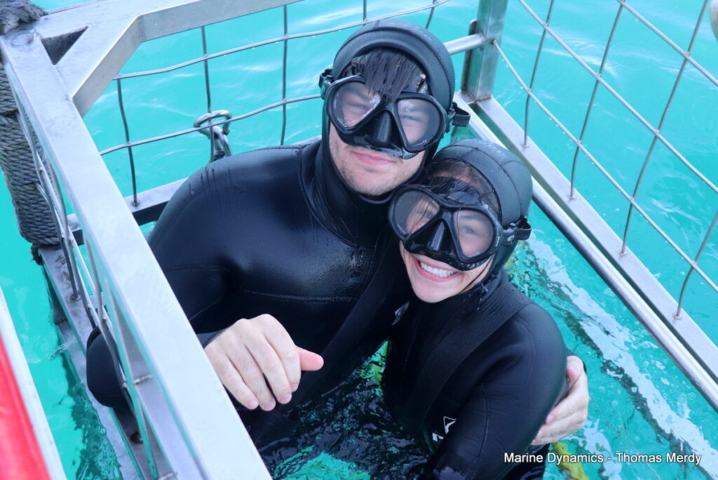 Shark cage diving, South Africa, gansbaai 