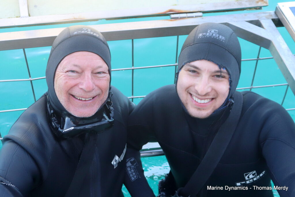 Shark cage diving, South Africa, gansbaai 