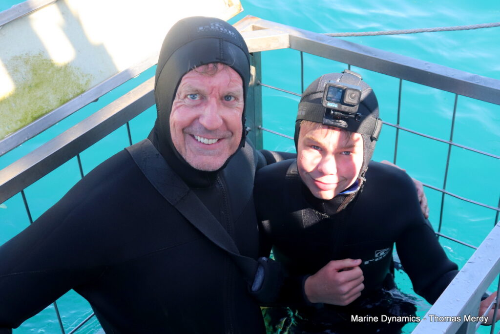 Shark cage diving, South Africa, gansbaai 