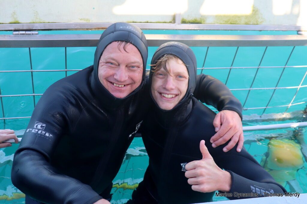 Shark cage diving, South Africa, gansbaai 
