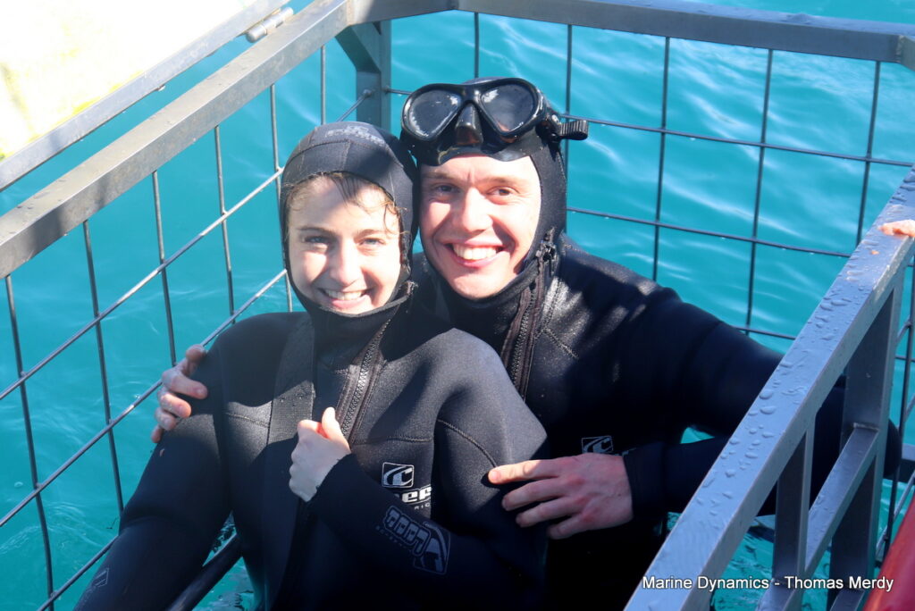 Shark cage diving, South Africa, gansbaai 