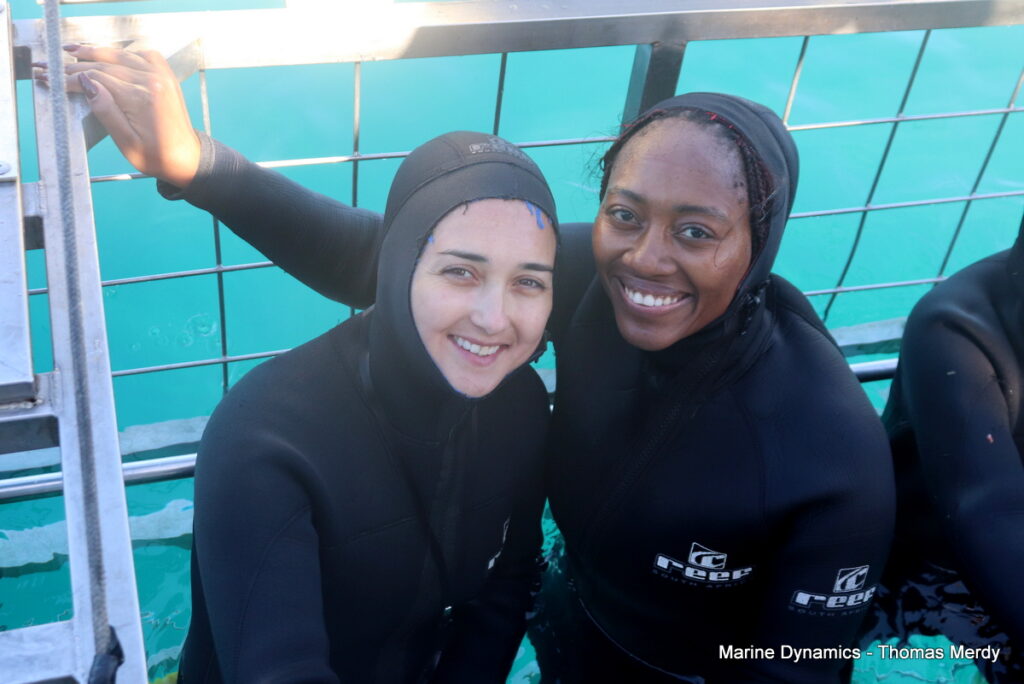 Shark cage diving, South Africa, gansbaai 
