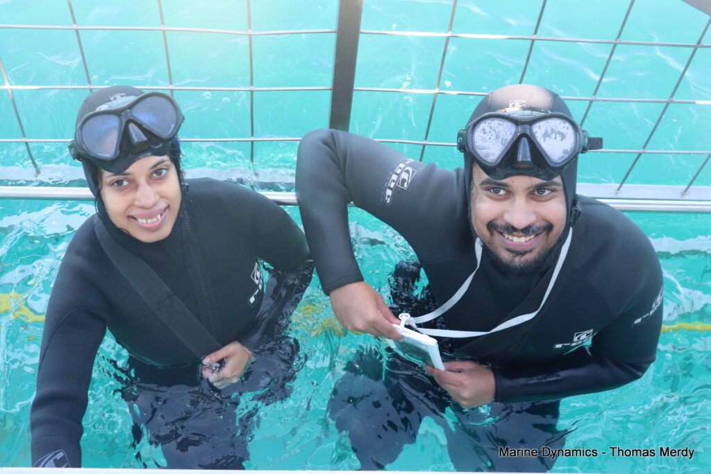 Shark cage diving, South Africa, gansbaai 