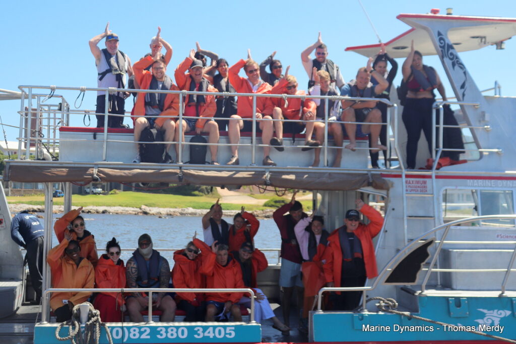 Shark cage diving, South Africa, gansbaai 