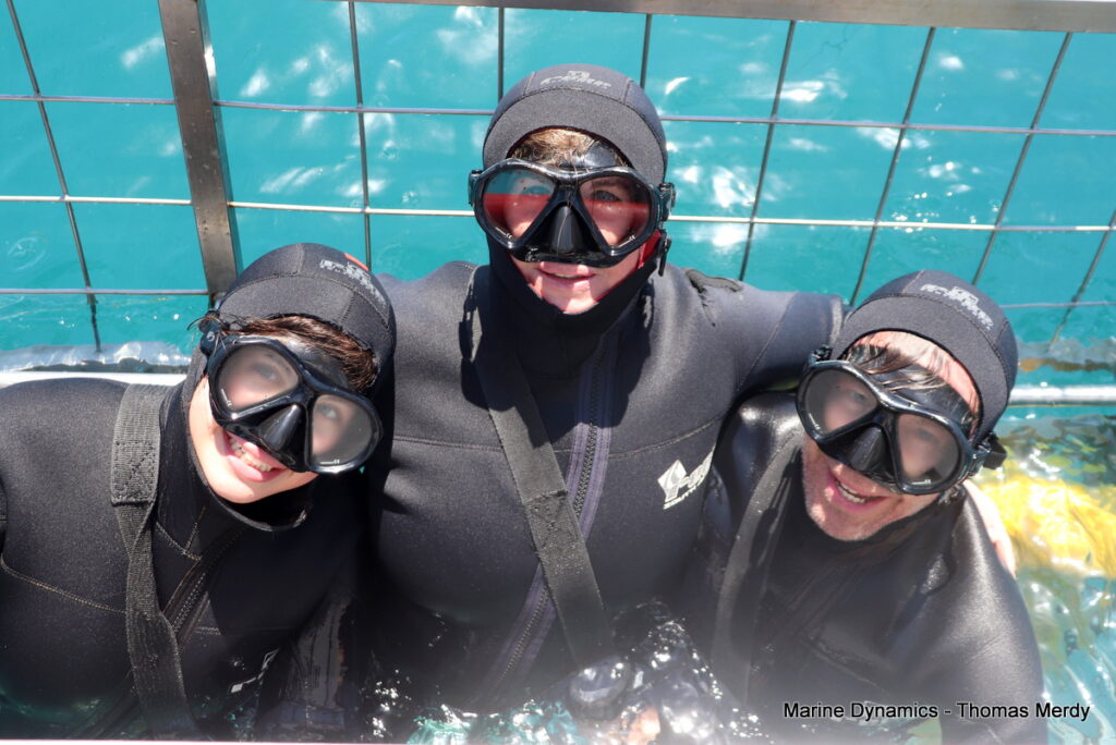 Shark cage diving, South Africa, gansbaai