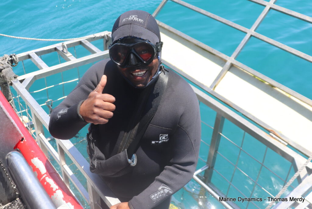 Shark cage diving, South Africa, gansbaai