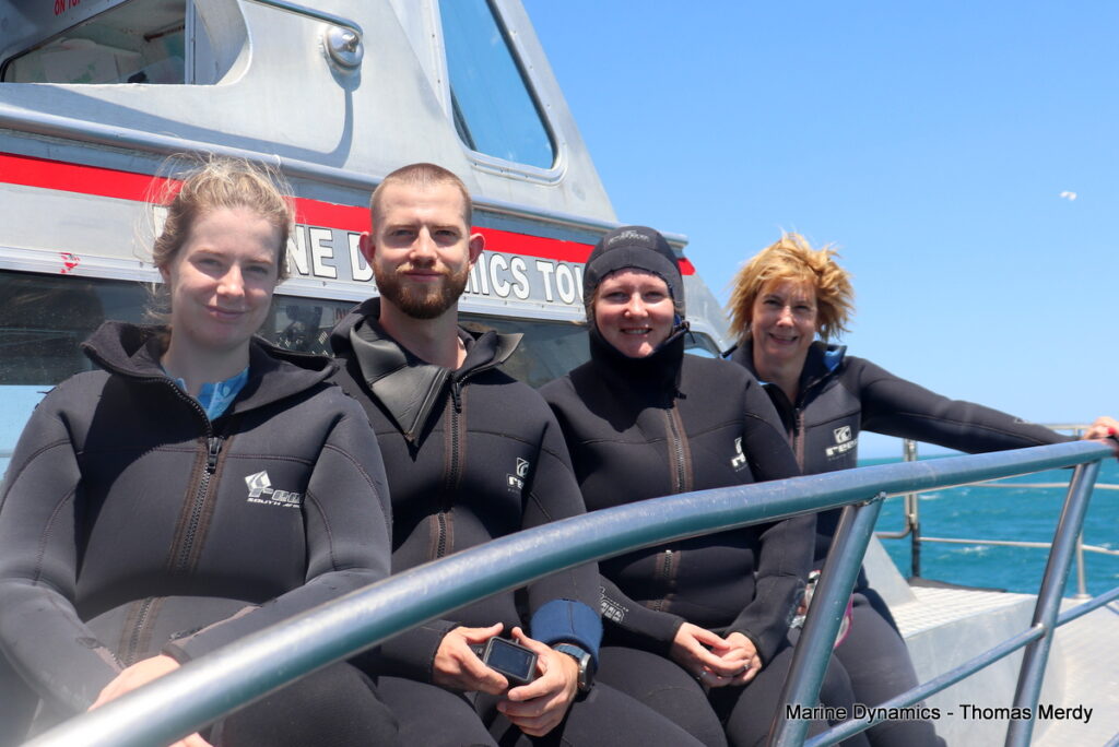 Shark cage diving, South Africa, gansbaai