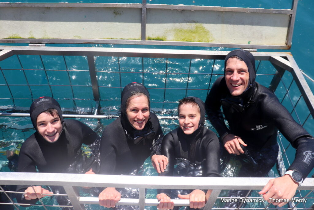 Shark cage diving, South Africa, gansbaai
