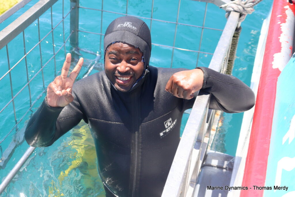 Shark cage diving, South Africa, gansbaai 