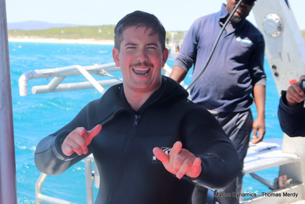 Shark cage diving, South Africa, gansbaai 