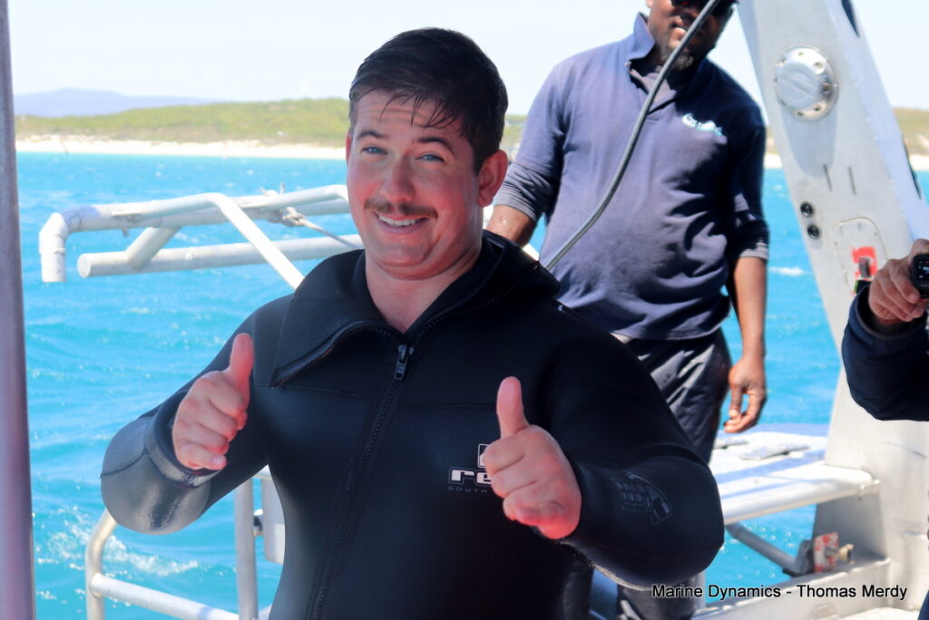 Shark cage diving, South Africa, gansbaai 
