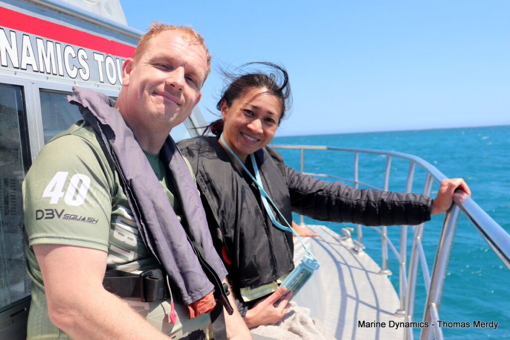 Shark cage diving, South Africa, gansbaai 
