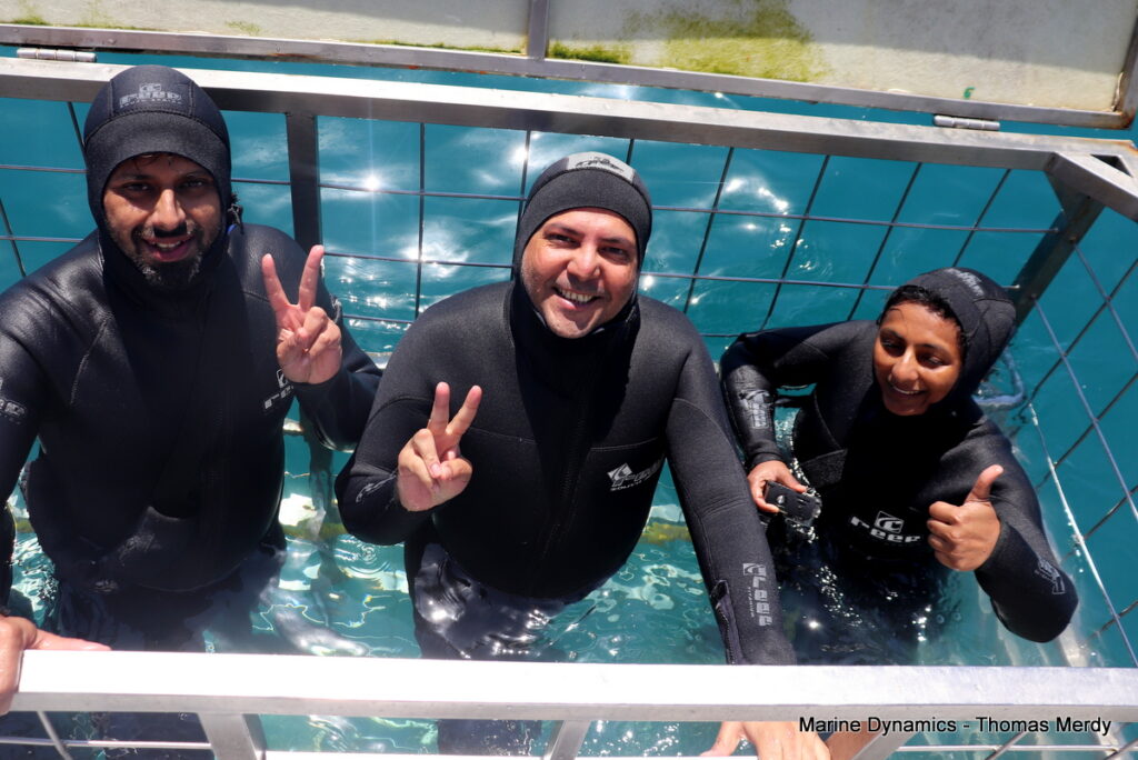 Shark cage diving, South Africa, gansbaai 