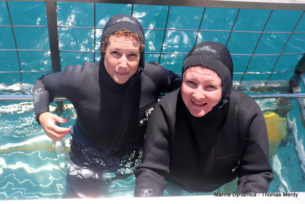 Shark cage diving, South Africa, gansbaai 