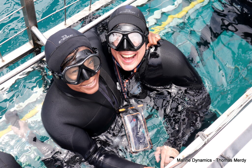 Shark cage diving, South Africa, Gansbaai