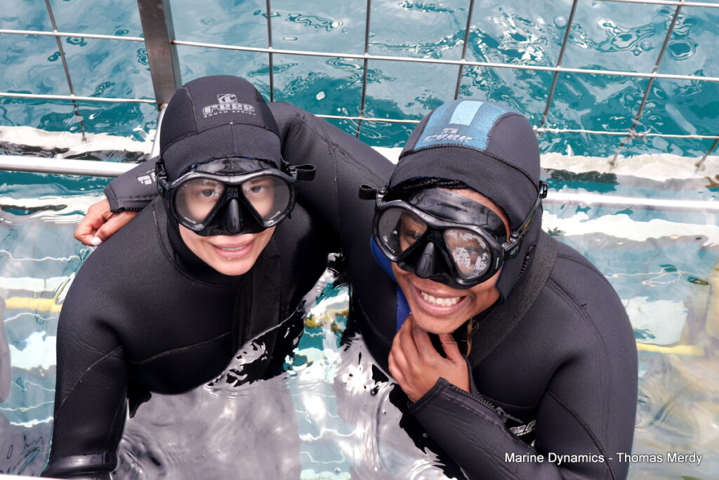 Shark cage diving, South Africa, Gansbaai