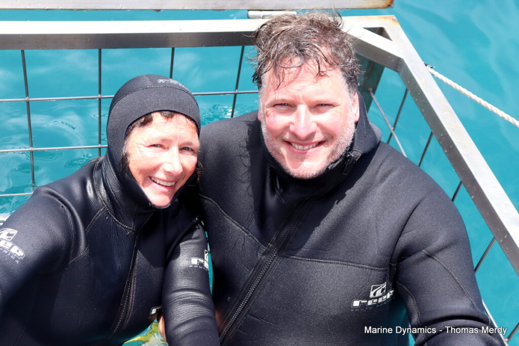 Shark cage diving, South Africa, Gansbaai