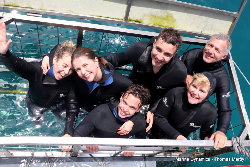 Shark cage diving, South Africa, Gansbaai
