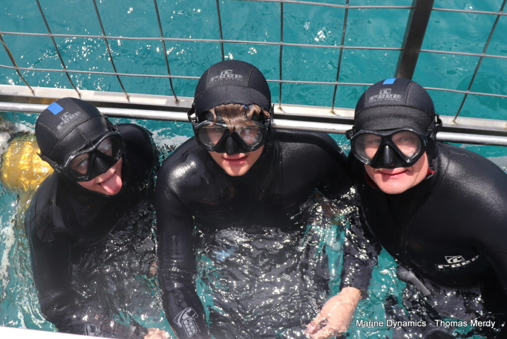 Shark cage diving, South Africa, Gansbaai