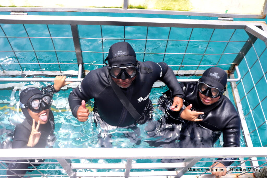 Shark cage diving, South Africa, Gansbaai