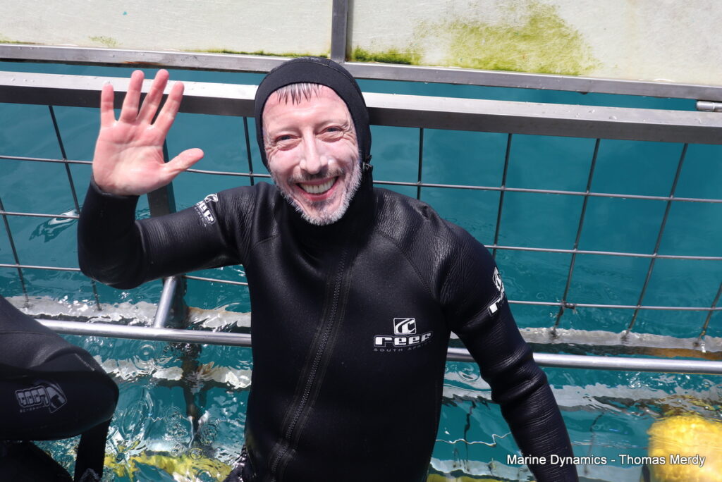 Shark cage diving, South Africa, Gansbaai
