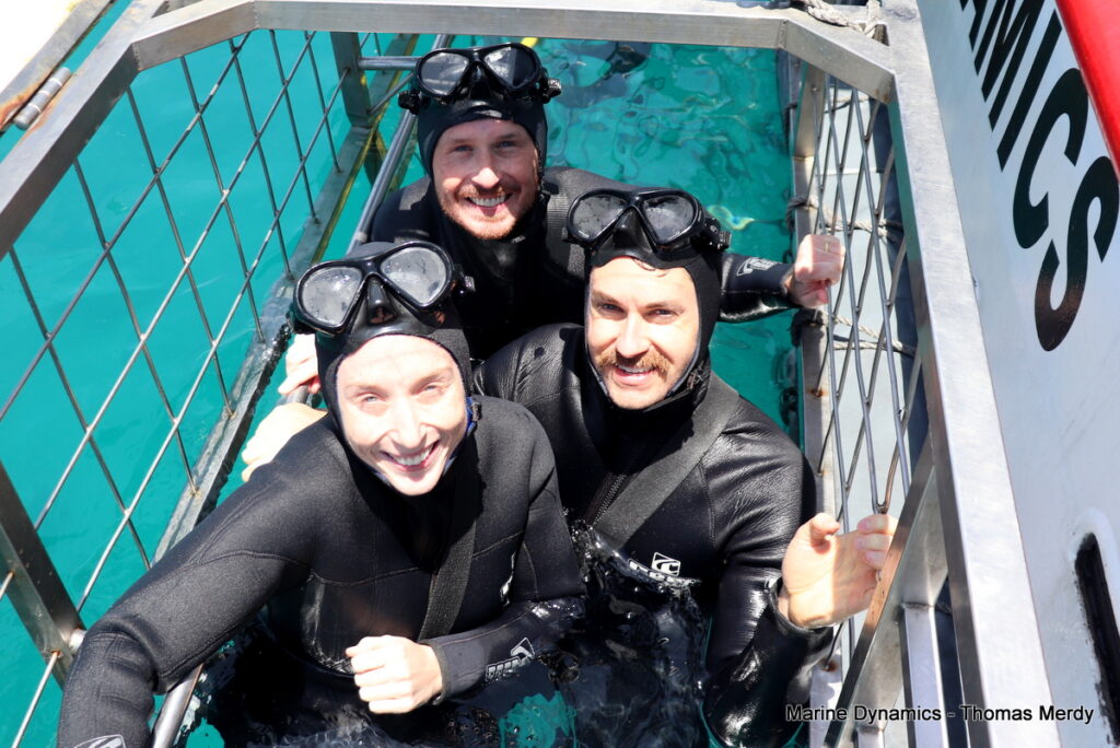 Shark cage diving, South Africa, Gansbaai
