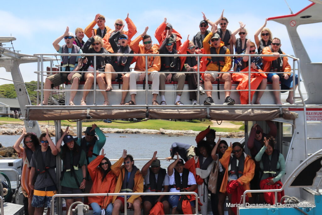 Shark cage diving, South Africa, Gansbaai