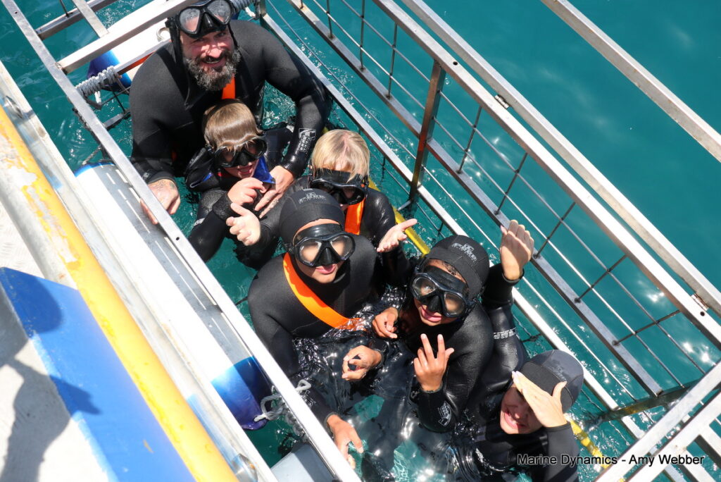 Shark cage diving, Gansbaai, South Africa