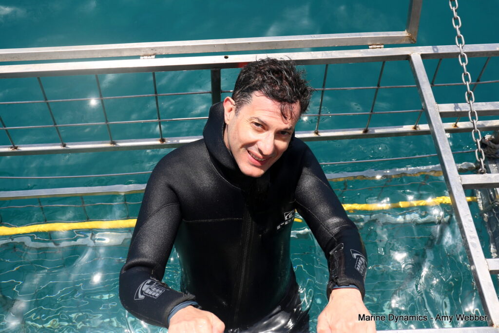 Shark cage diving, Gansbaai, South Africa