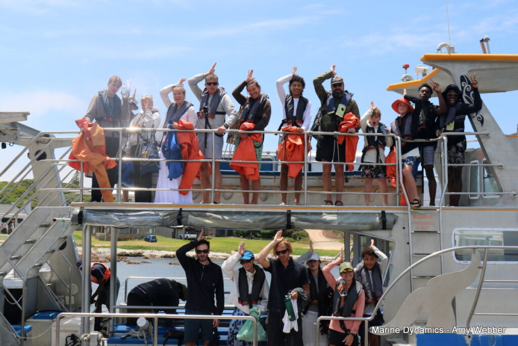 Shark cage diving, Gansbaai, South Africa