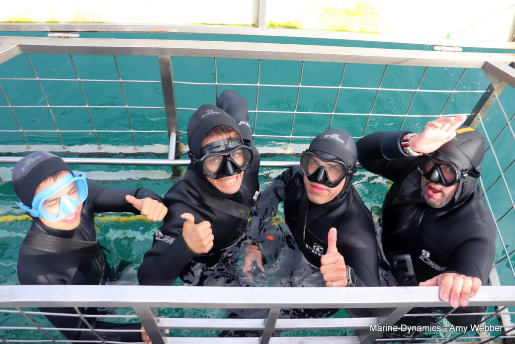 Shark cage diving, Gansbaai, South Africa