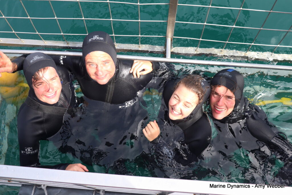 Shark cage diving, Gansbaai, South Africa