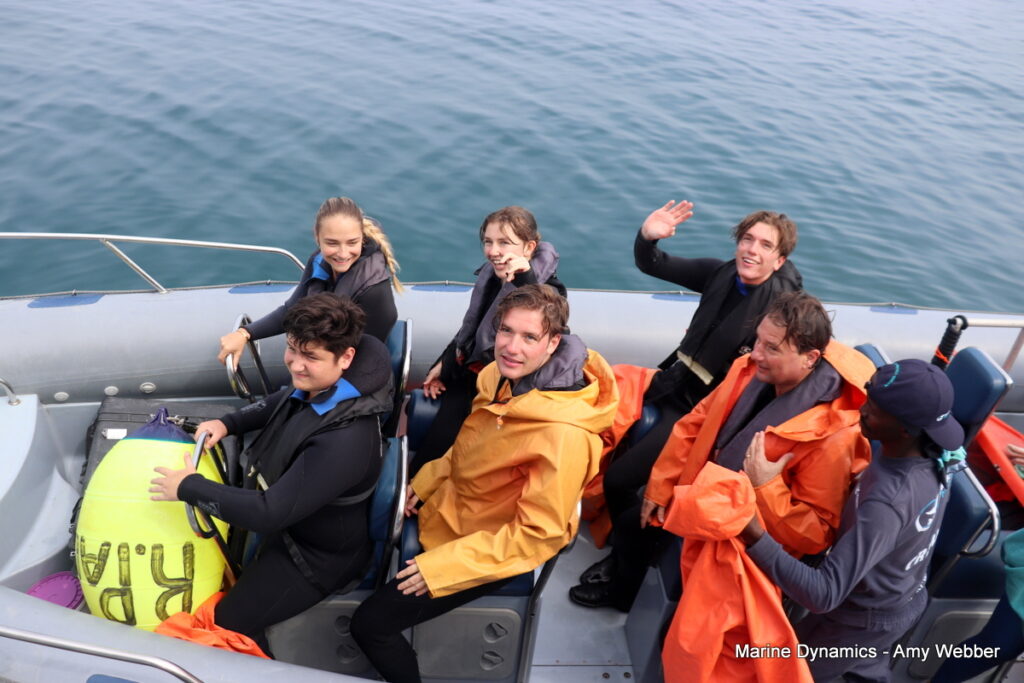 Shark cage diving, Gansbaai, South Africa