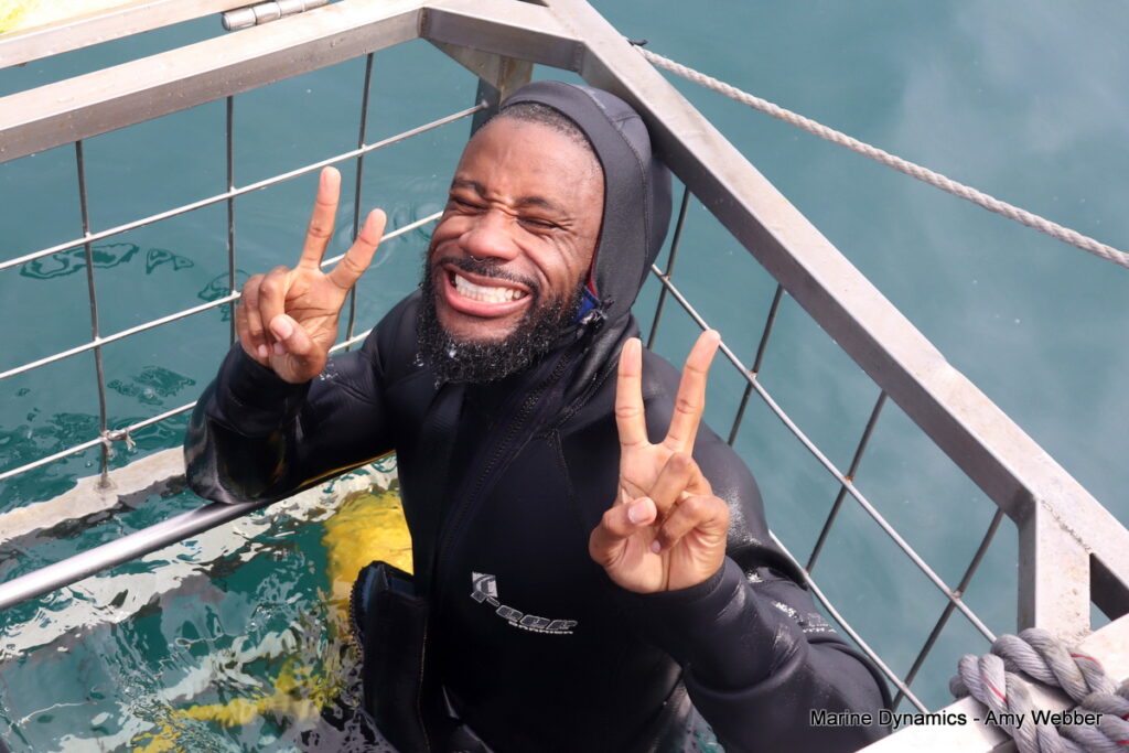 Shark cage diving, Gansbaai, South Africa
