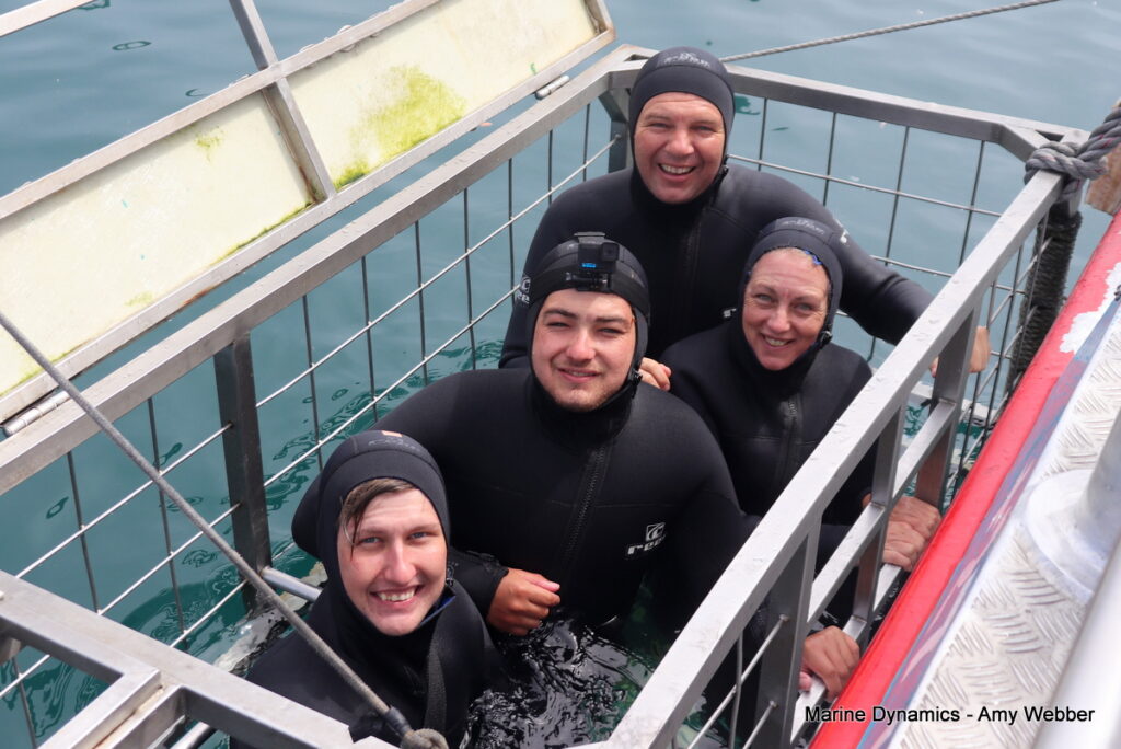 Shark cage diving, Gansbaai, South Africa