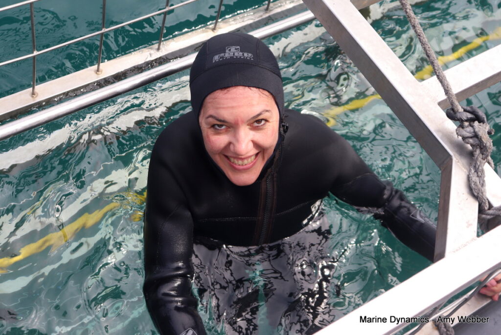 Shark cage diving, Gansbaai, South Africa