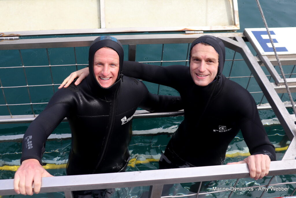 Shark cage diving, Gansbaai, South Africa