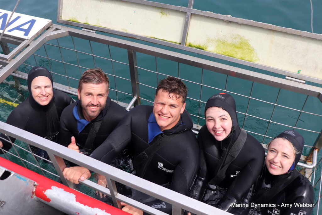 Shark cage diving, Gansbaai, South Africa