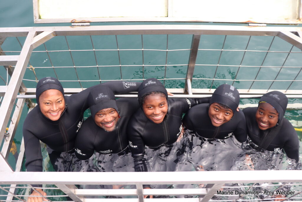 Shark cage diving, Gansbaai, South Africa