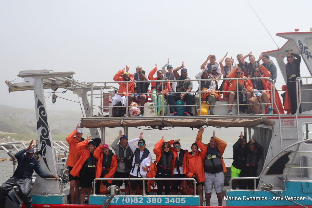 Shark cage diving, Gansbaai, South Africa