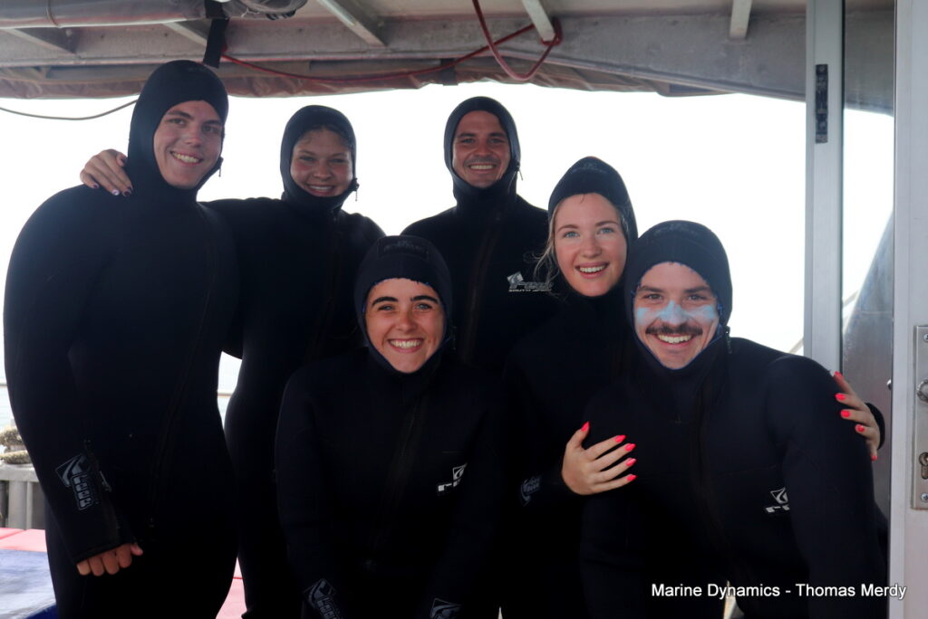 Shark cage diving, Gansbaai, South Africa
