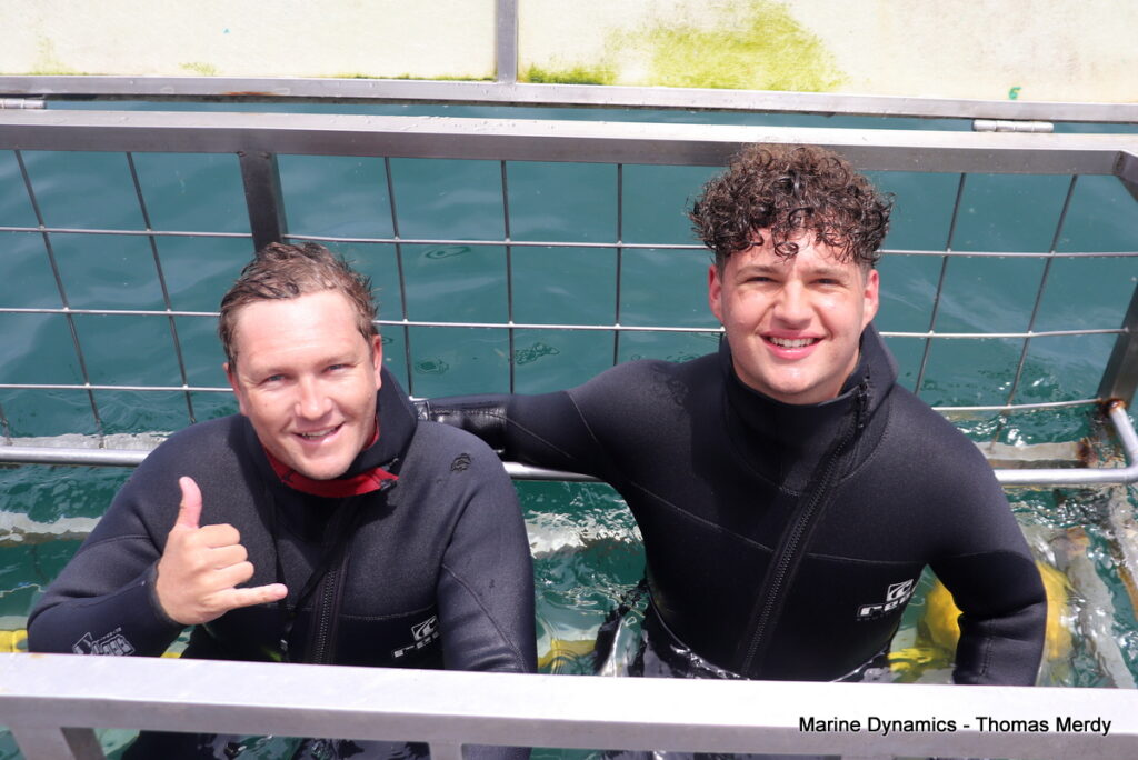 Shark cage diving, Gansbaai, South Africa