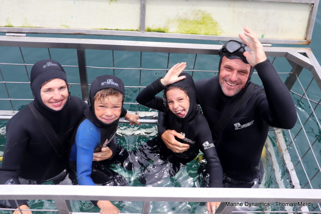 Shark cage diving, Gansbaai, South Africa